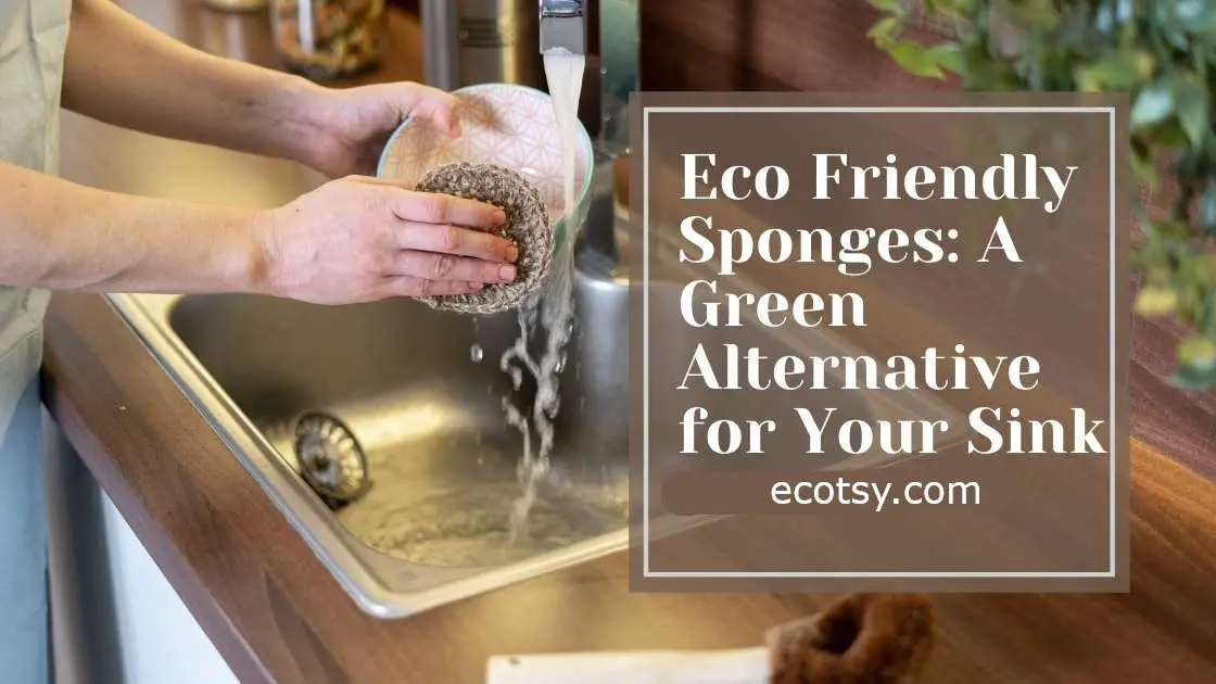 What Are Eco Friendly Sponges & How To Get Most Out Of Them - Ecotsy