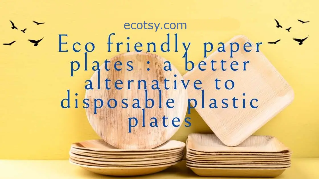 https://ecotsy.com/wp-content/uploads/2021/10/Eco-friendly-paper-plates-a-better-alternative-to-disposable-plastic-plates-banner-image-wpp1656582934114.jpeg