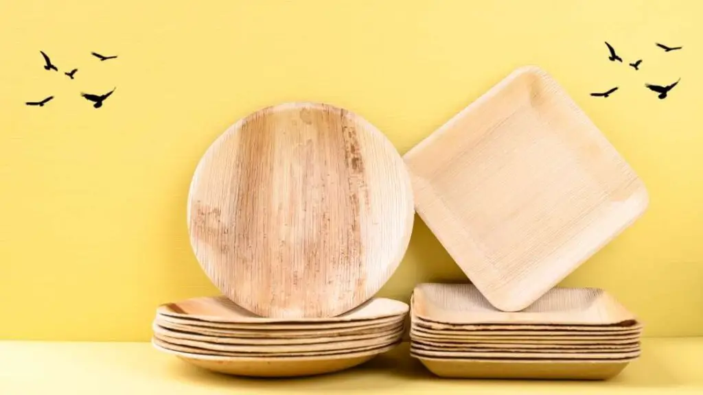 Eco friendly paper plates a better alternative to disposable plastic plates featured image