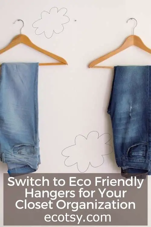 Switch to Eco Friendly Hangers for Your Closet Organization Pinterest Pin