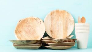 View of What are Eco Friendly Plates, their benefits and drawbacks - Ecotsy