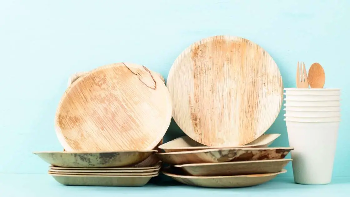 What are Eco Friendly Plates, their benefits and drawbacks Ecotsy