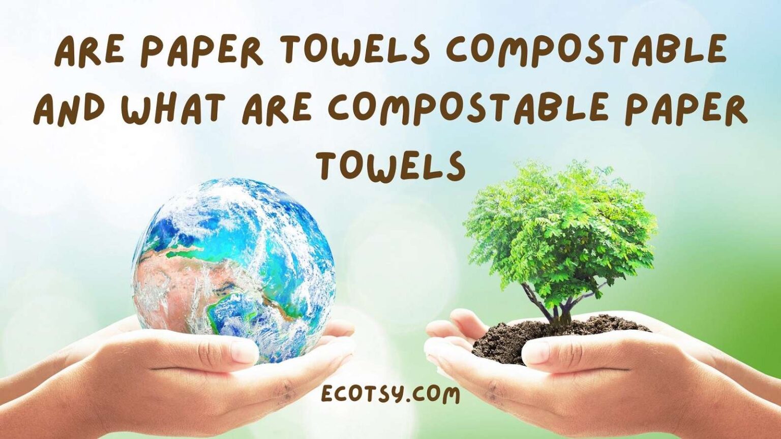 are-paper-towels-compostable-and-what-are-compostable-paper-towels-ecotsy