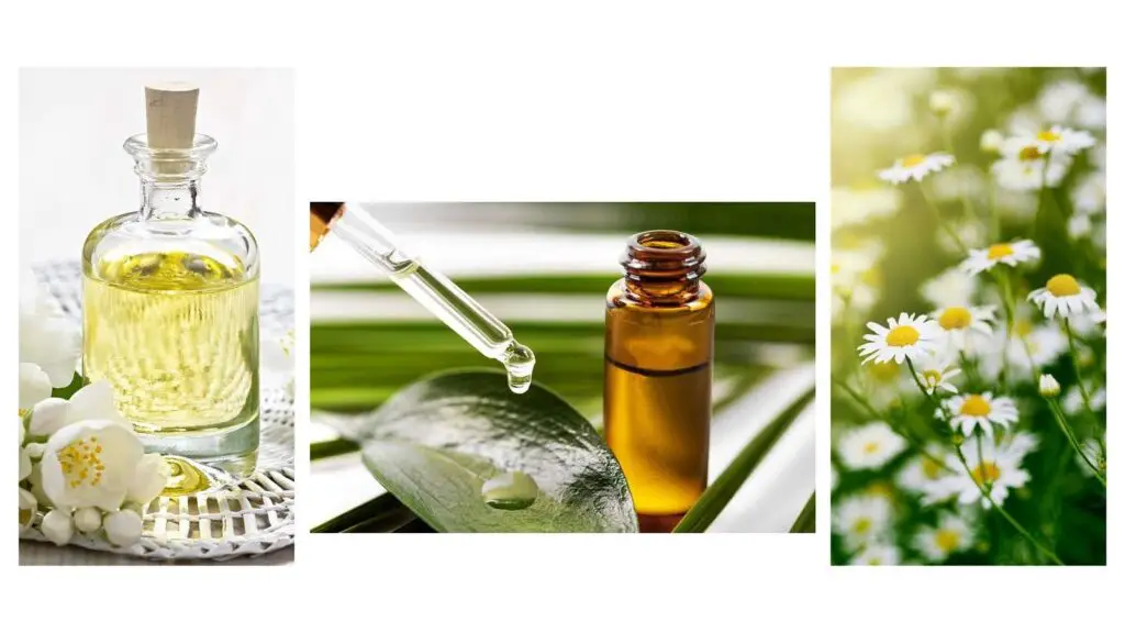Why Eco-friendly products are important featured image