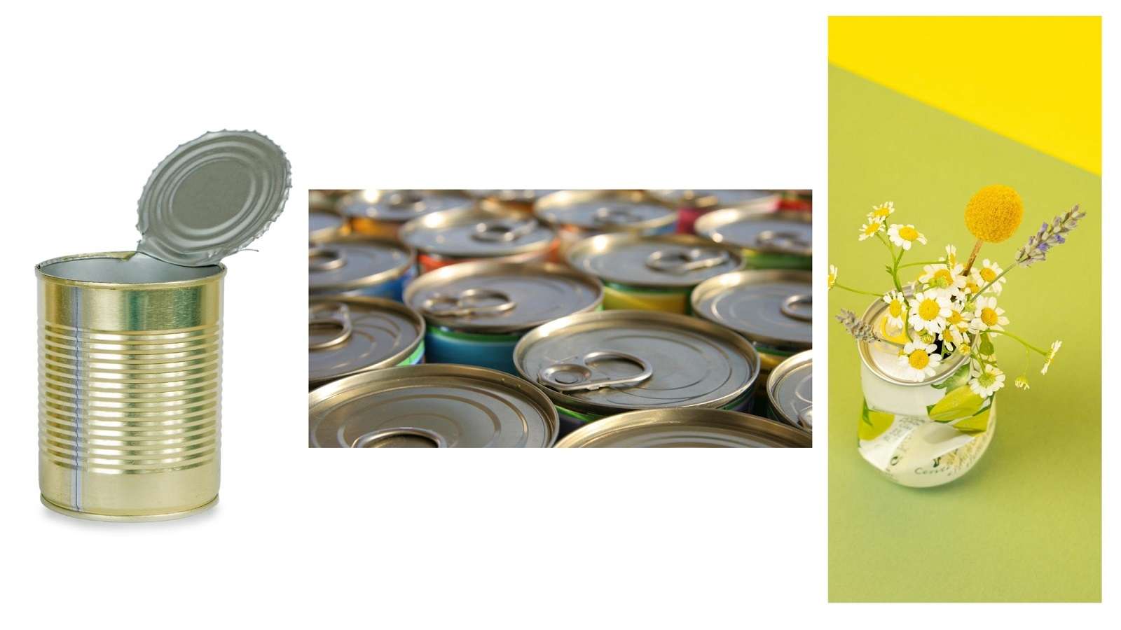 Are tin cans eco friendly? Ecotsy