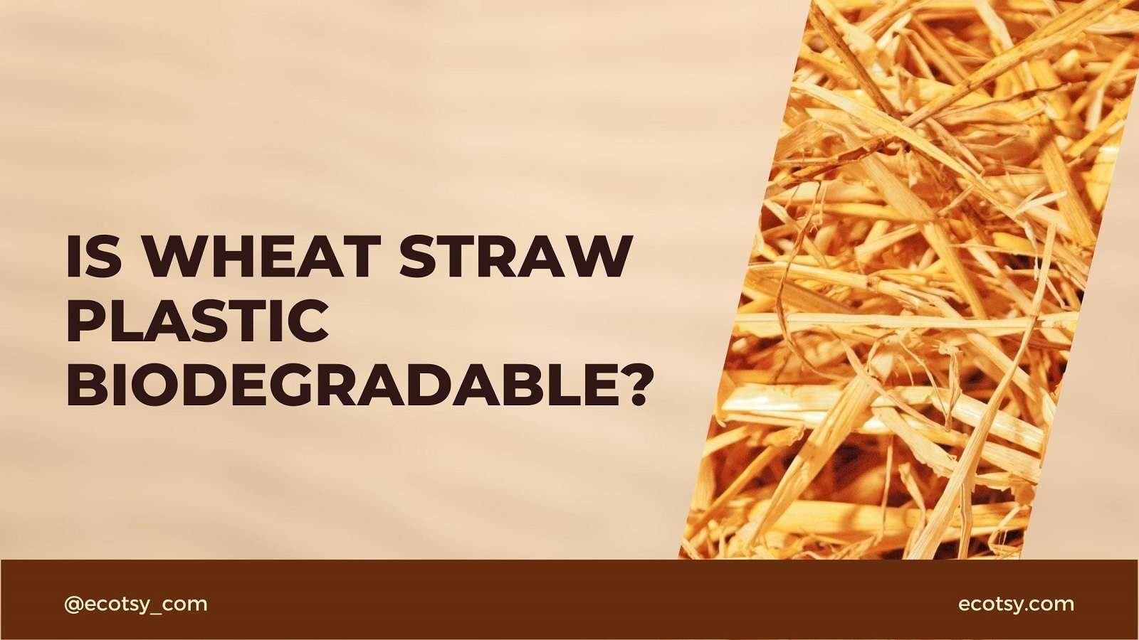 Is Wheat Straw Plastic Biodegradable Ecotsy keto-friendly-noodles-10-best-low-carb-noodle-alternatives