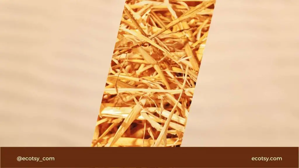 Is wheat straw plastic biodegradable featured