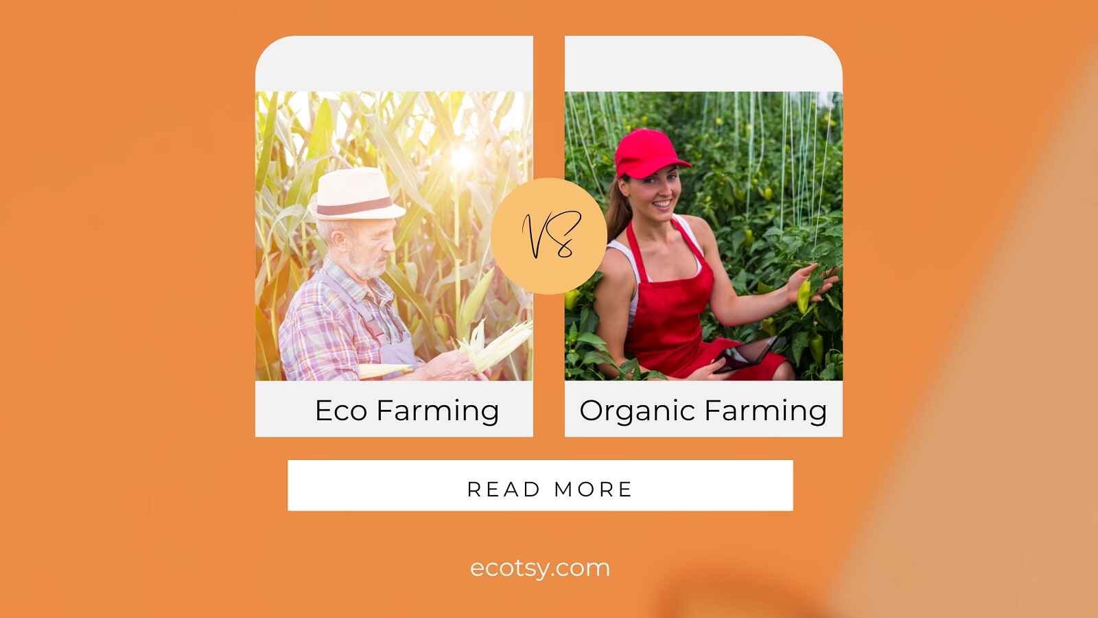 A Comprehensive Look At Eco Farming Vs Organic Farming - Ecotsy