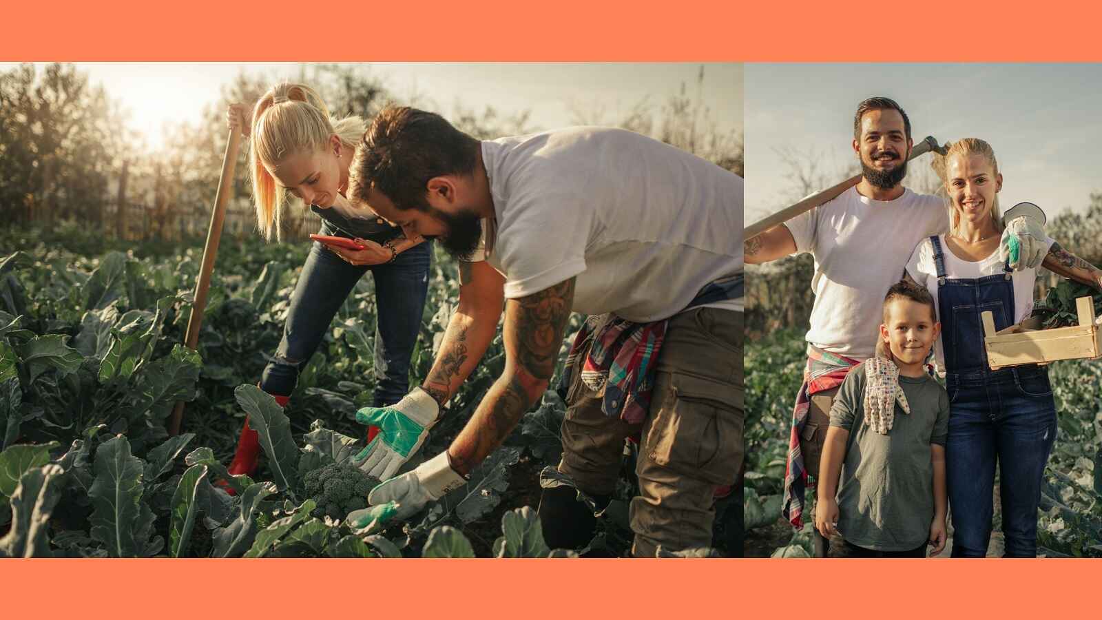 A Comprehensive Look at Eco Farming Vs Organic Farming Ecotsy