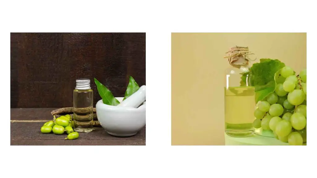 The Battle of the Oils Eco Oil vs Neem Oil featured image
