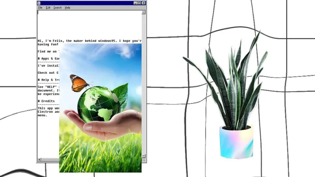 Eco Friendly vs Sustainable What’s the Difference featured image