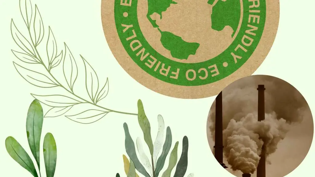 The Difference Between Eco Friendly vs Non Eco Friendly Products featured image