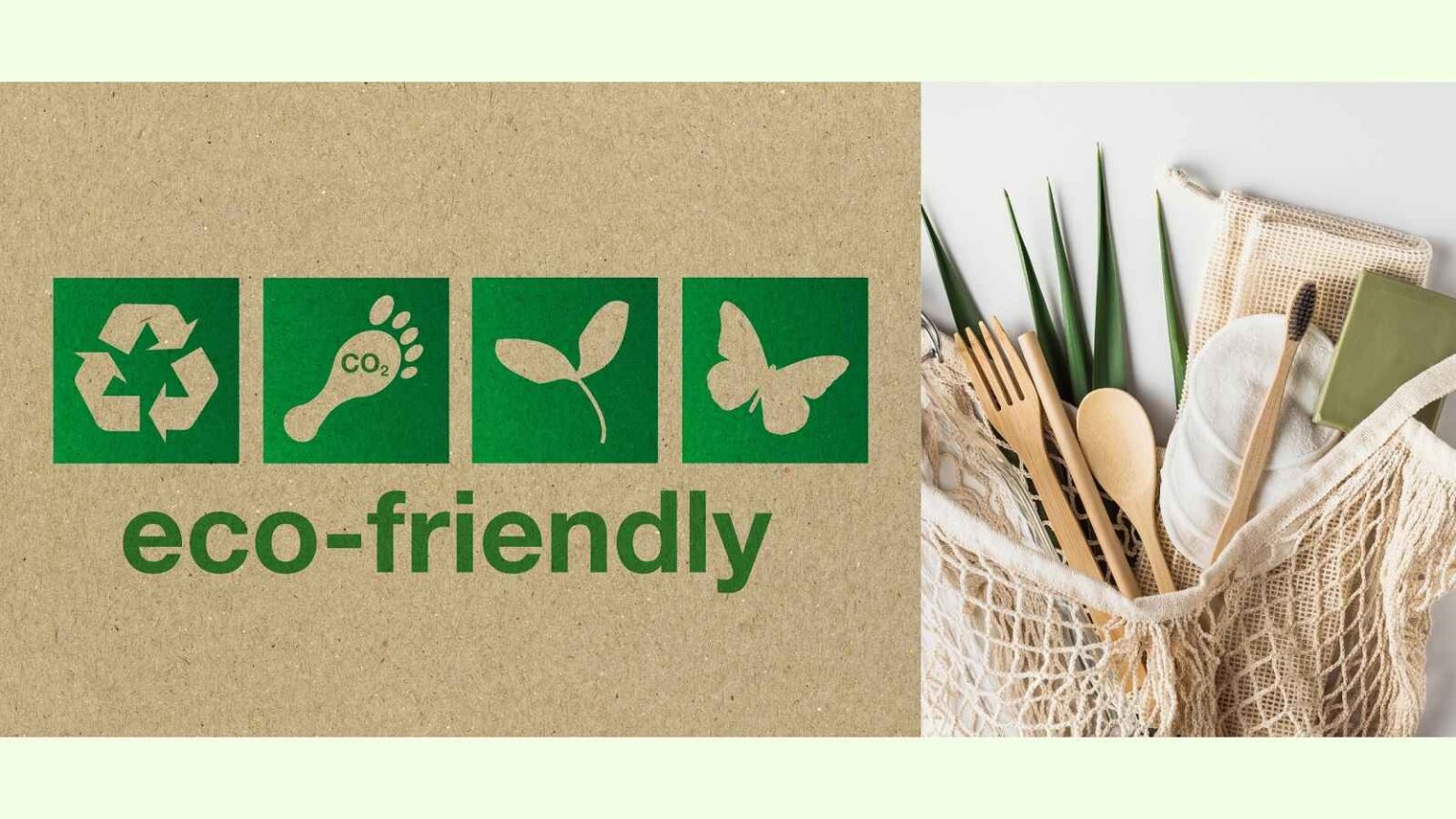 The Difference Between Eco Friendly vs Non Eco Friendly Products Ecotsy