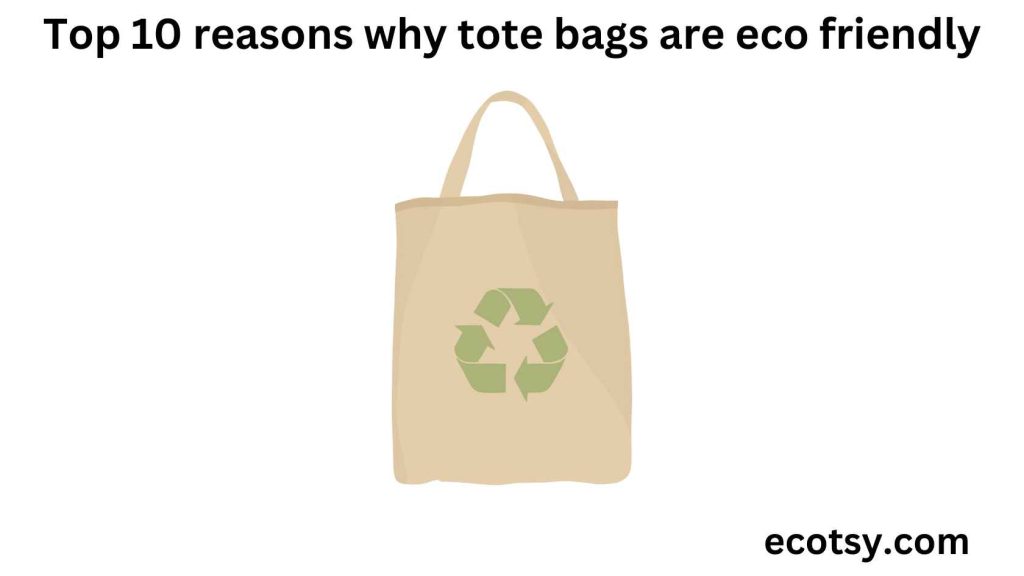 Top 10 reasons why tote bags are eco friendly Featured Image