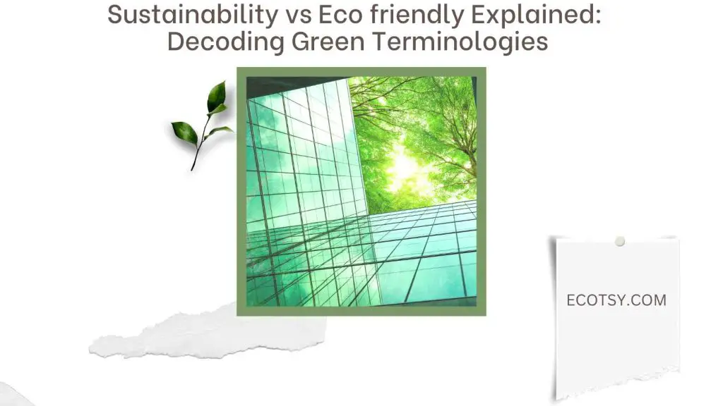 Sustainability vs Eco friendly Explained Decoding Green Terminologies Featured Image