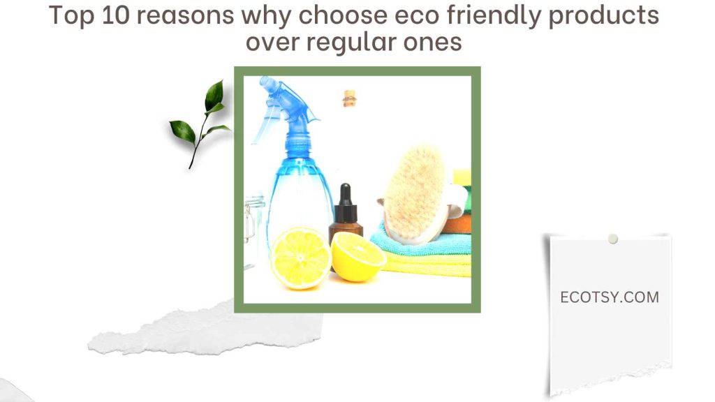 Top 10 reasons why choose eco friendly products over regular ones Featured Image