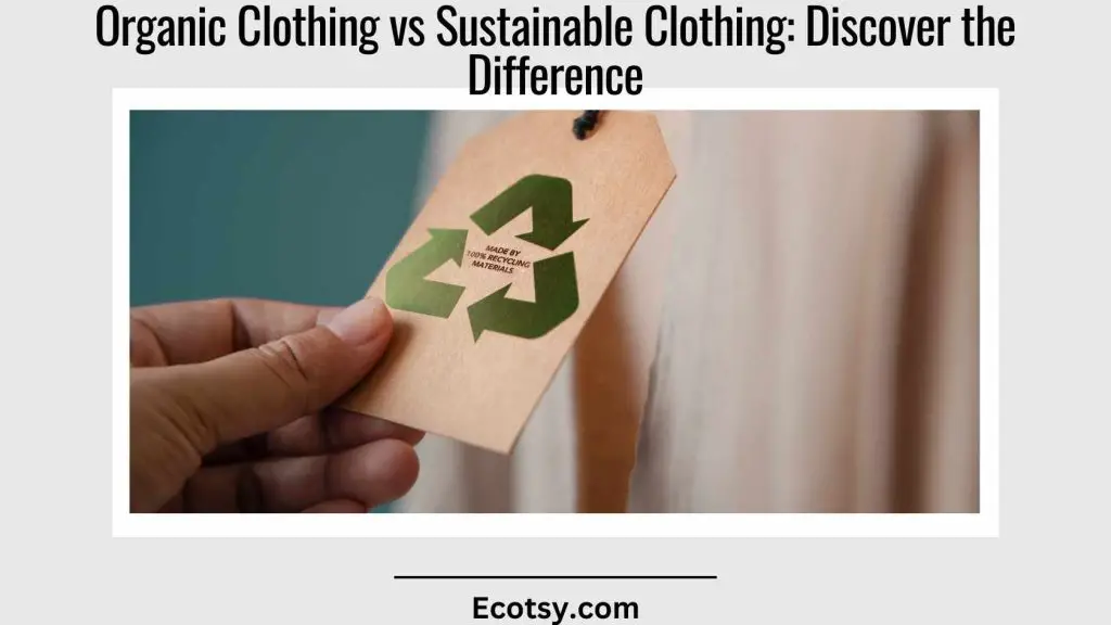 Organic Clothing vs Sustainable Clothing Discover the Difference Featured Image