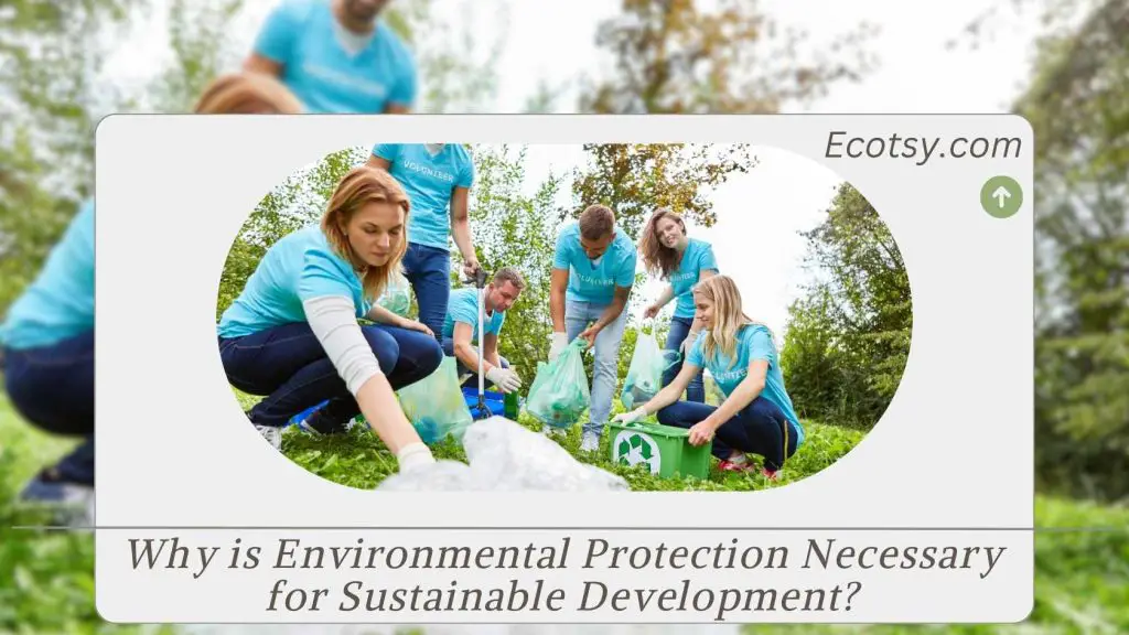 Why is Environmental Protection Necessary for Sustainable Development Featured Image