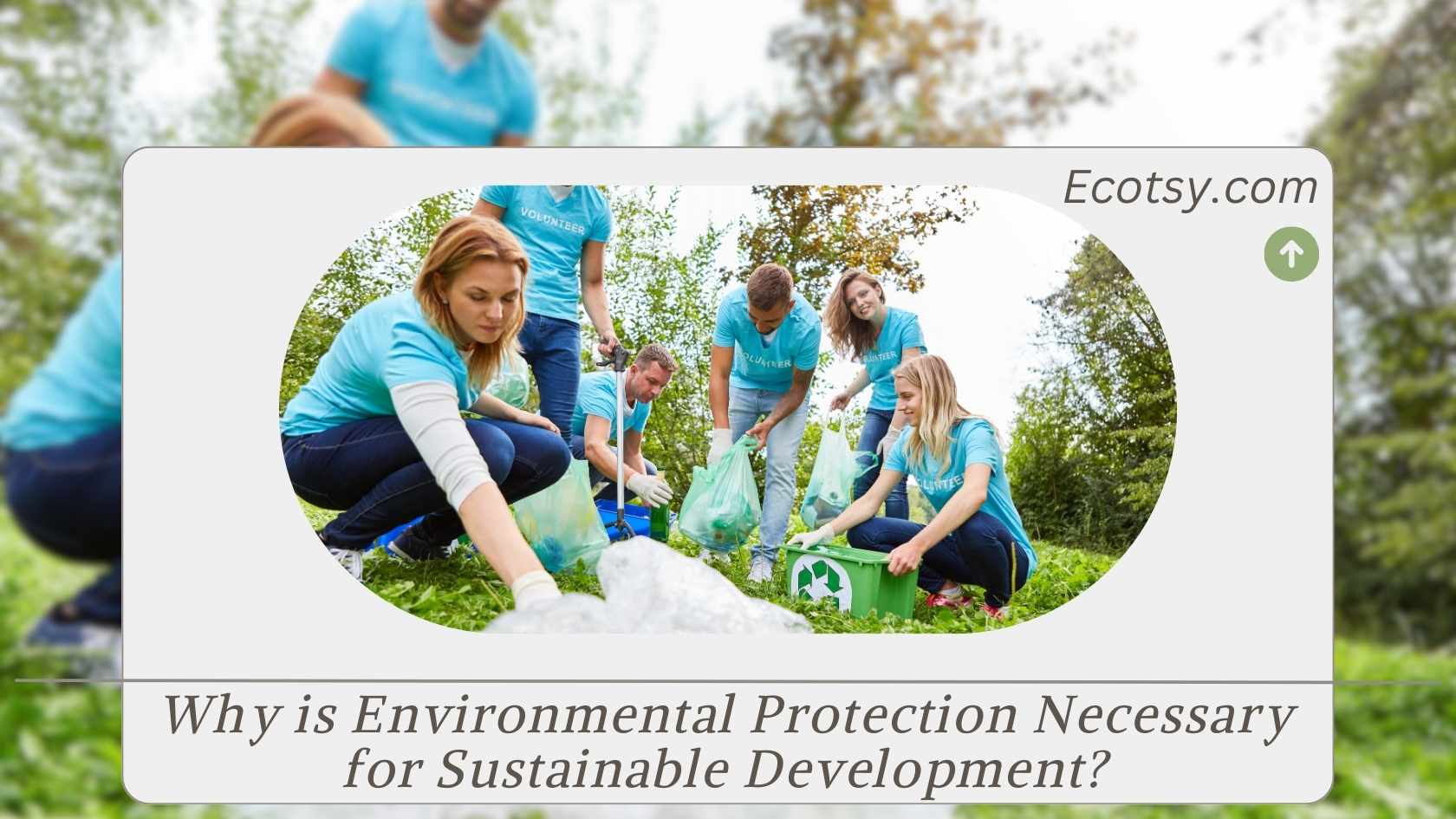 Why is Environmental Protection Necessary for Sustainable Development ...