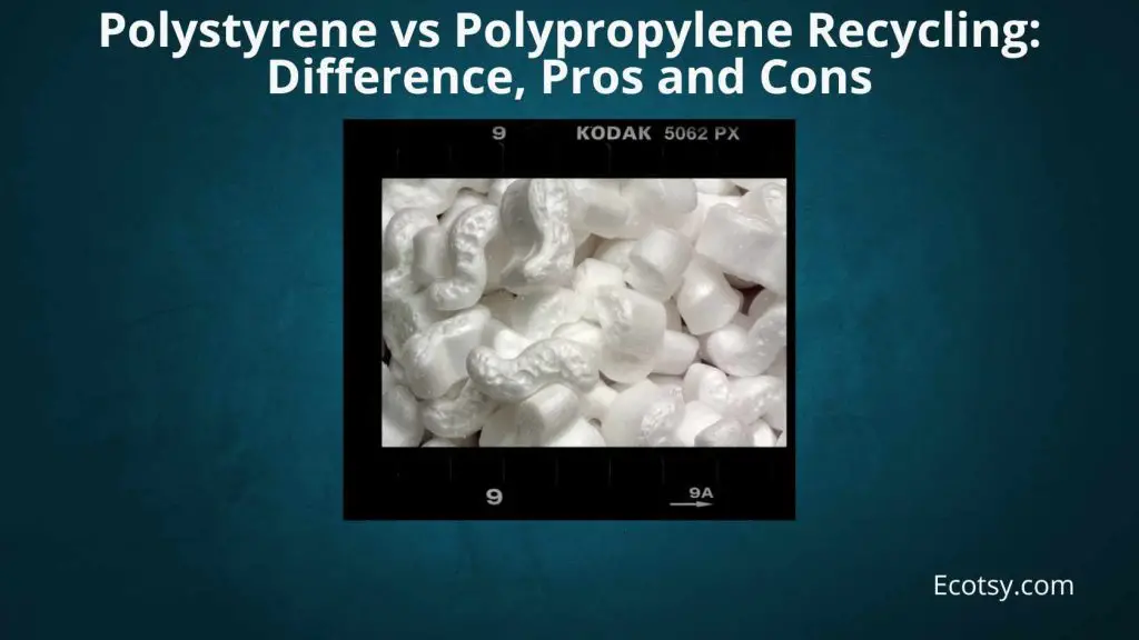 Featured ImagePolystyrene vs Polypropylene Recycling Difference, Pros and Cons