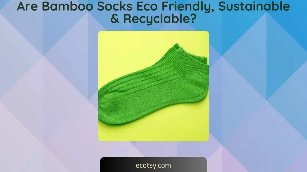 Are Bamboo Socks Eco Friendly, Sustainable & Recyclable