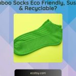 Are Bamboo Socks Eco Friendly, Sustainable & Recyclable