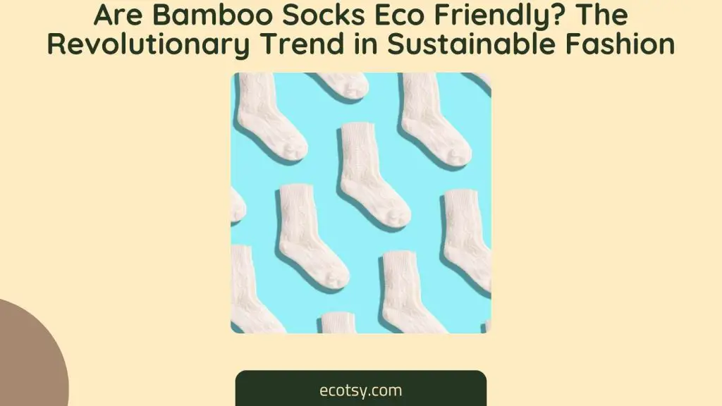 Are Bamboo Socks Eco Friendly The Revolutionary Trend in Sustainable Fashion