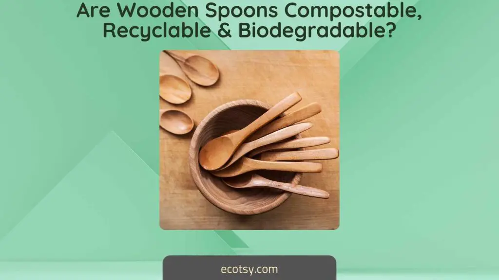 Are Wooden Spoons Compostable, Recyclable & Biodegradable