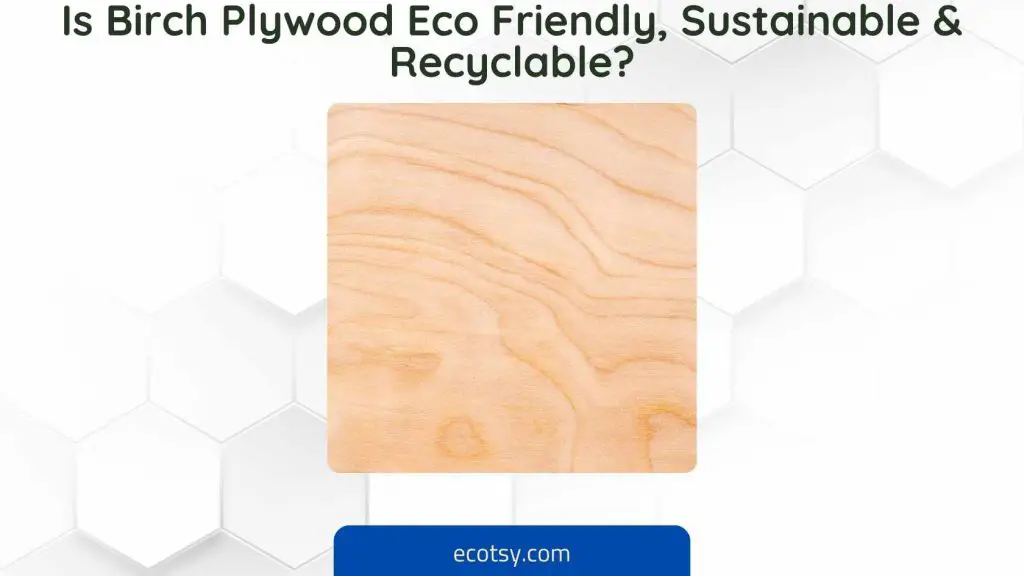 Is Birch Plywood Eco Friendly, Sustainable & Recyclable Featured Image