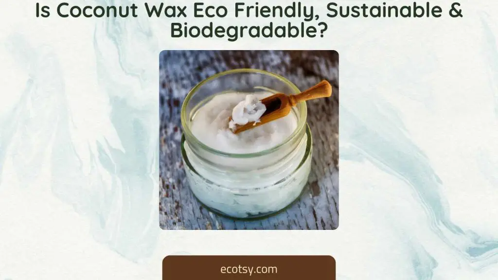 Is Coconut Wax Eco Friendly, Sustainable & Biodegradable