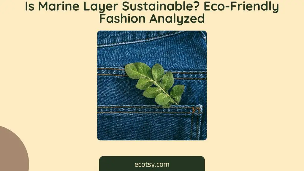 Is Marine Layer Sustainable Eco-Friendly Fashion Analyzed Featured Image