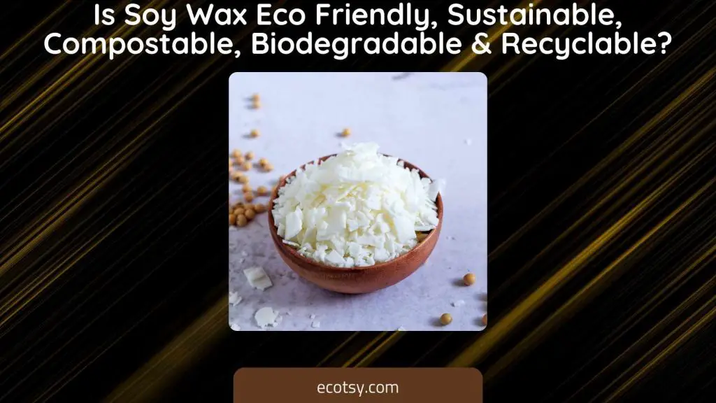 Is Soy Wax Eco Friendly, Sustainable, Compostable, Biodegradable & Recyclable