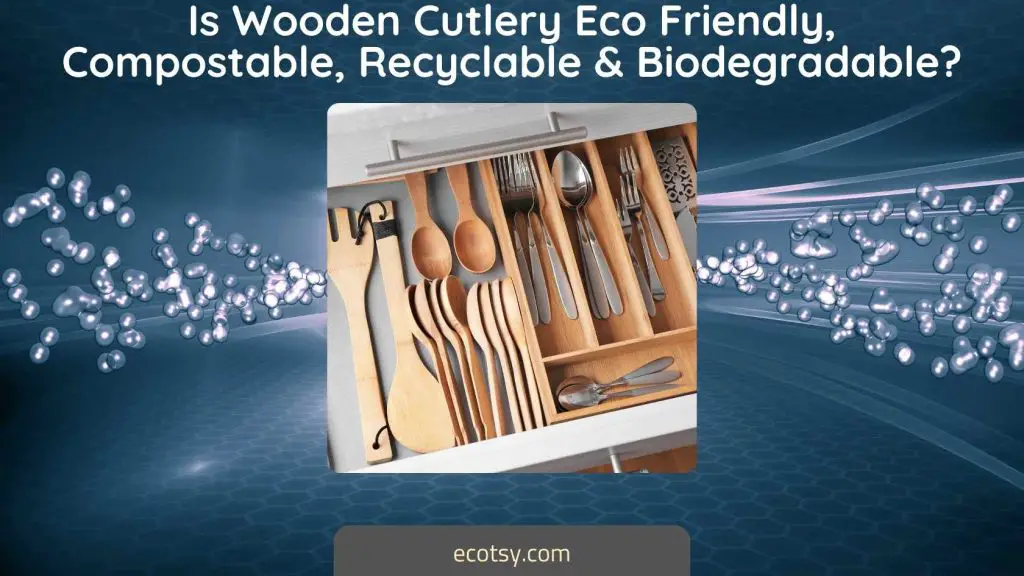Is Wooden Cutlery Eco Friendly, Compostable, Recyclable & Biodegradable