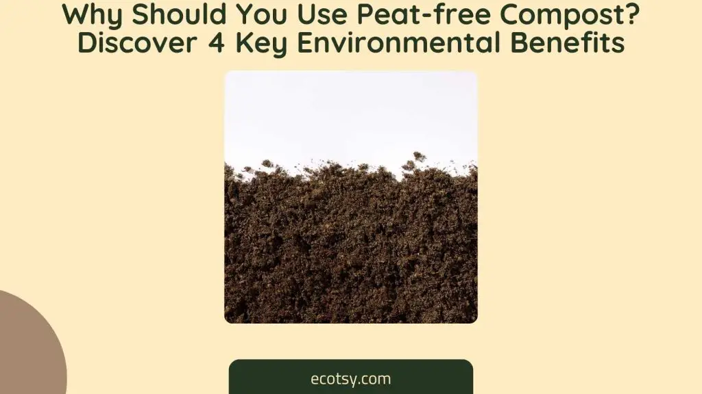 Why Should You Use Peat-free Compost Discover 4 Key Environmental Benefits