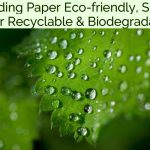 Is Shredding Paper Eco-friendly, Shredded Paper Recyclable & Biodegradable?