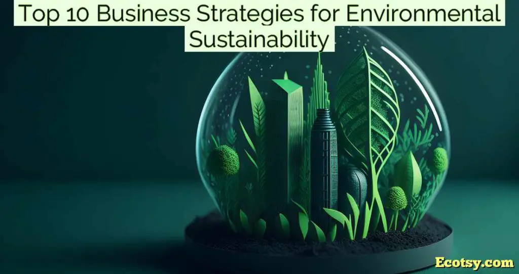 Top 10 Business Strategies for Environmental Sustainability