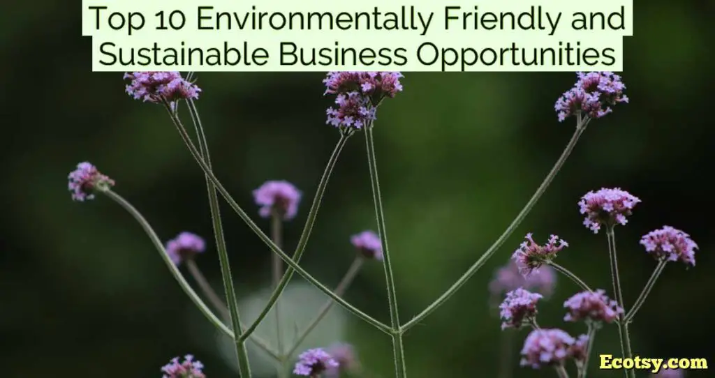 Top 10 Environmentally Friendly and Sustainable Business Opportunities