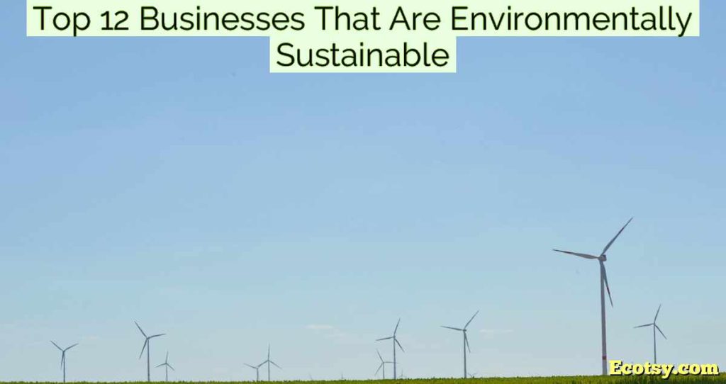 Top 12 Businesses That Are Environmentally Sustainable