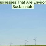 Top 12 Businesses That Are Environmentally Sustainable