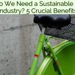 Why Do We Need a Sustainable Timber Industry? 5 Crucial Benefits