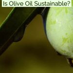 Is Olive Oil Sustainable?