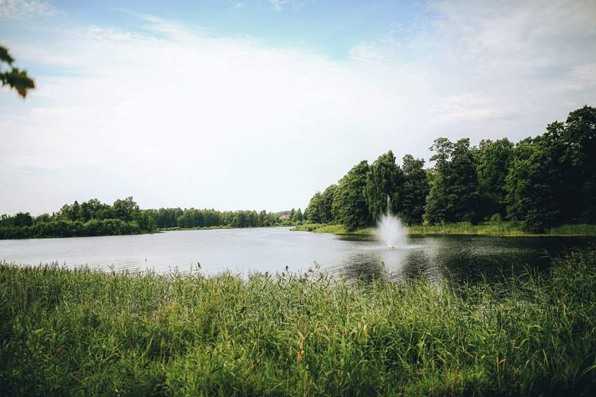 air powered decorative fountain